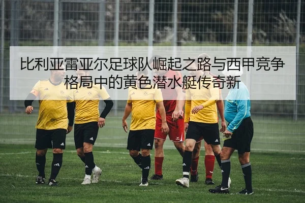 bi-li-ya-lei-ya-er-zu-qiu-dui-jue-qi-zhi-lu-yu-xi-jia-jing-zheng-ge-ju-zhong-de-huang-se-qian-shui-ting-chuan-qi-xin-2-389.jpg