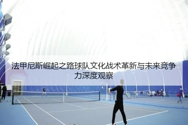 法甲尼斯崛起之路球队文化战术革新与未来竞争力深度观察